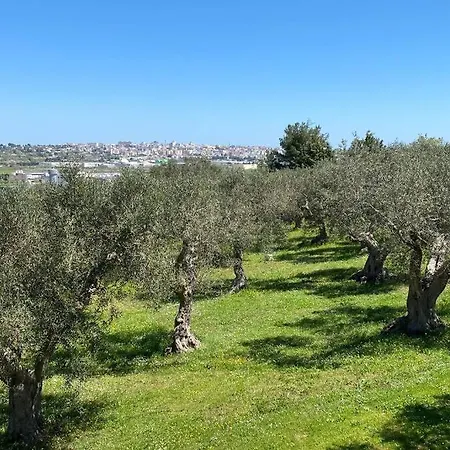 Tenuta Mastricale - Torre Antica