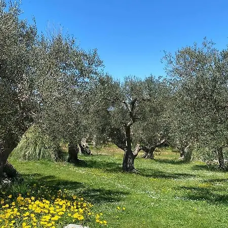 Tenuta Mastricale - Torre Antica Appartement